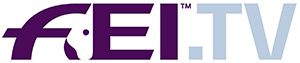 FEI_TV_Logo_RGB_HR